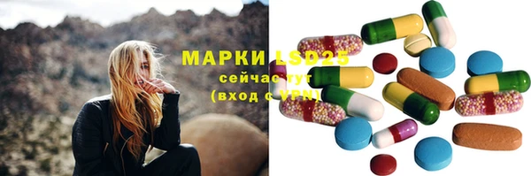 дживик Майский