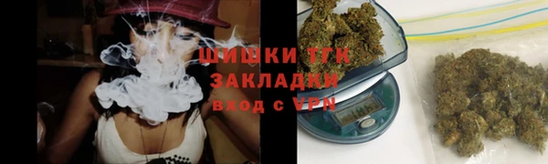 дживик Майский
