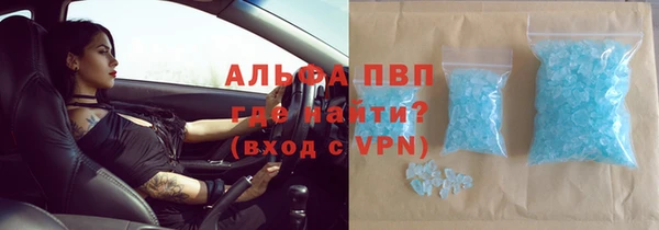 дживик Майский