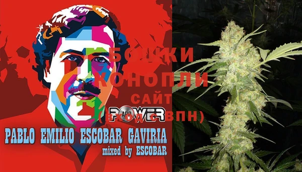 каннабис Магас