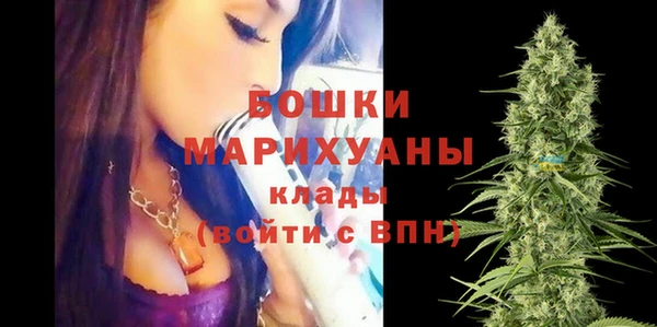дживик Майский