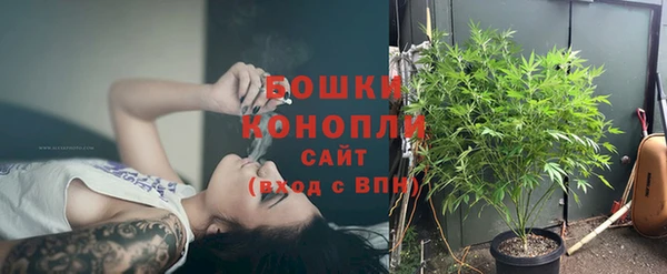 дживик Майский