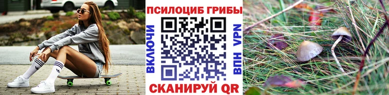 Псилоцибиновые грибы Psilocybe  Фрязино 