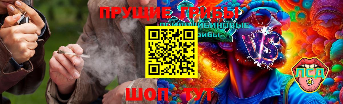 Псилоцибиновые грибы Cubensis  Псилоцибиновые грибы мицелий  Фрязино 