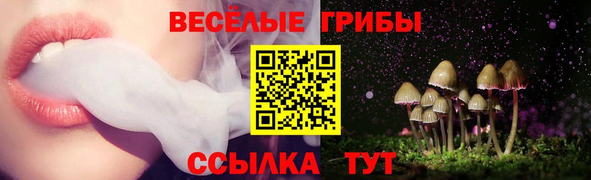 закладки  Вход с VPN  Фрязино  Галлюциногенные грибы ЛСД  Псилоцибиновые грибы мухоморы 
